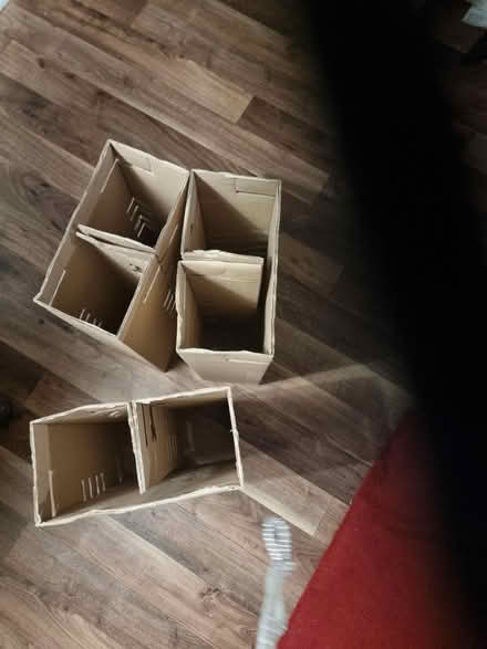 Photo of free Cardboard 6 division wine divider (stroud green N4) #1