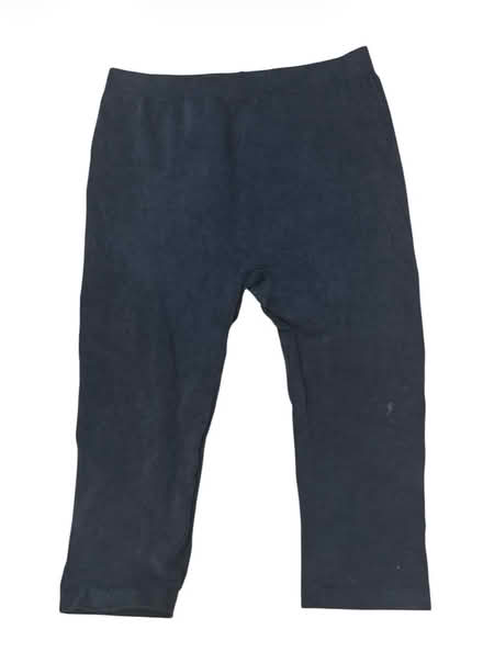 Photo of free Lane Bryant Shorts (Brooklyn Storage) #1