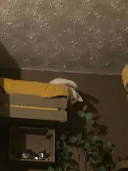 Photo of free Ikea drawers (Whickham NE16) #4