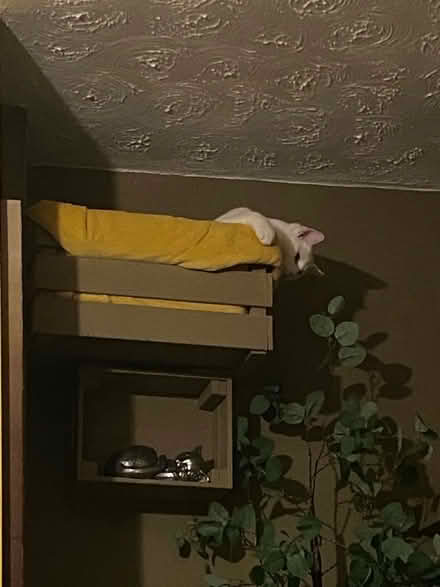 Photo of free Ikea drawers (Whickham NE16) #2