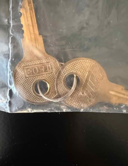 Photo of free Two Filing Cabinets (Chesterbrook Rd & N Albemarle) #3