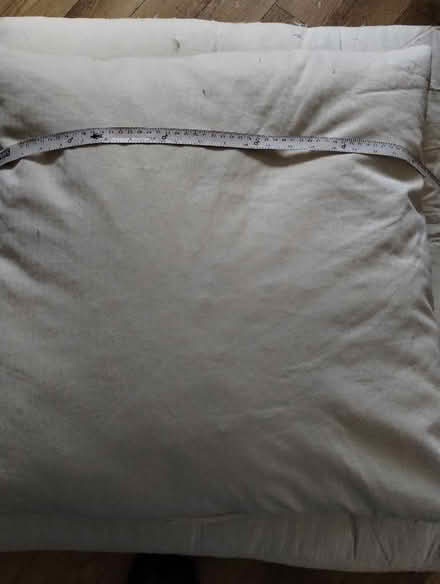 Photo of free Feather cushions (Irby CH61) #2