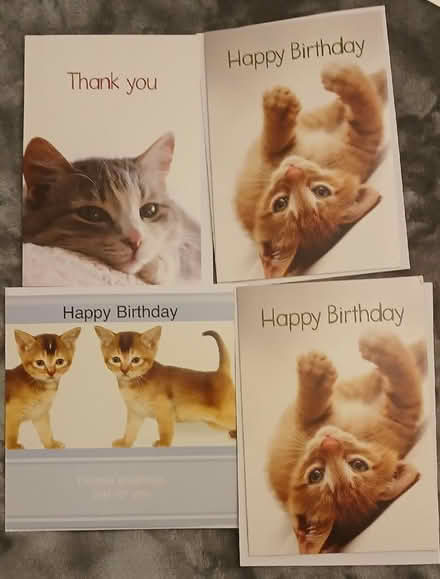Photo of free 4 x cat greeting cards, new, unused + envelopes (South Croydon CR2) #1