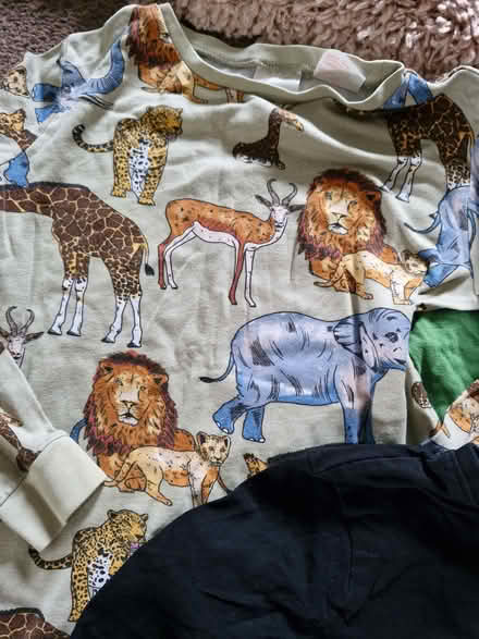 Photo of free Pyjamas (Currie EH14) #4