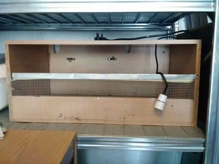 Photo of free Small reptile/pet terranium (Great glen, LE8) #1