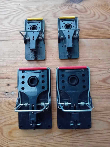 Photo of free Rentokil rat and mouse traps (Clewer New Town SL4) #1