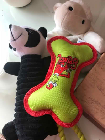 Photo of free Dog toys (Goffs Oak EN7) #1