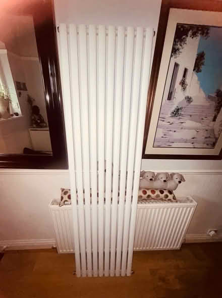 Photo of free Tall radiator Collection today only (Thornton Heath CR4) #2