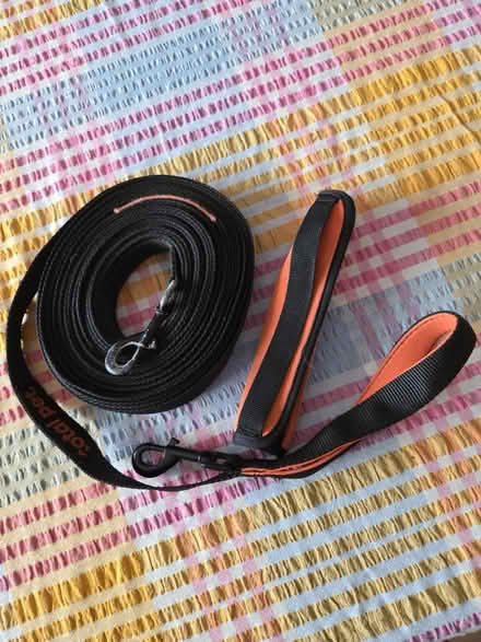 Photo of free Dog training lead (Melksham SN12) #1