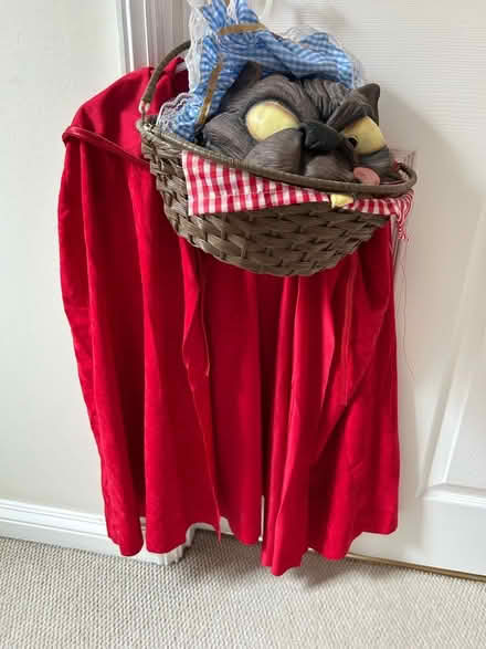 Photo of free Red riding hood cape and wolf! (Barkham RG41) #1