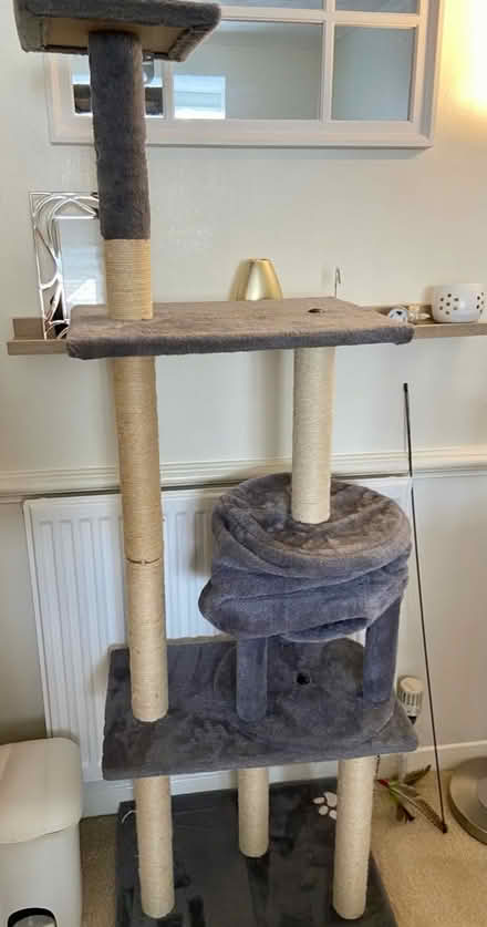 Photo of free Cat furniture (Romford RM7) #1