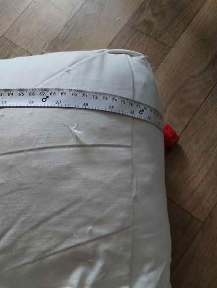 Photo of free Feather cushions (Irby CH61) #4