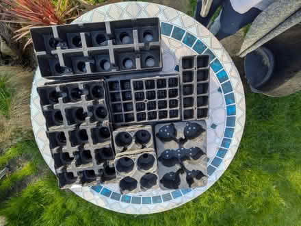 Photo of free Seed trays (DA7 Bexleyheath) #1