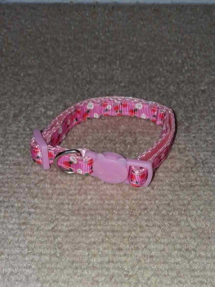 Photo of free Kitten items (LE2) #2