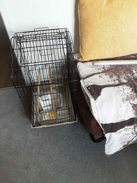 Photo of free Bird cage (IP9) #1