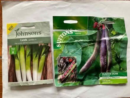 Photo of free Vegetable seeds (World’s End Burgess Hill) #1