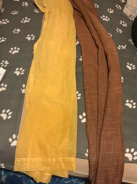 Photo of free Nets (SE4) #1