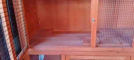 Photo of free 6" Bluebell rabbit hutch (Riverfield drive MK41) #3