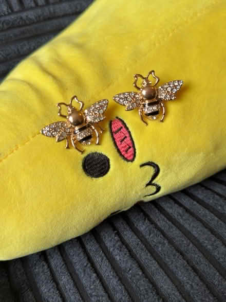 Photo of free Bronze bee Earring pair (USED) (Levenshulme M19) #1