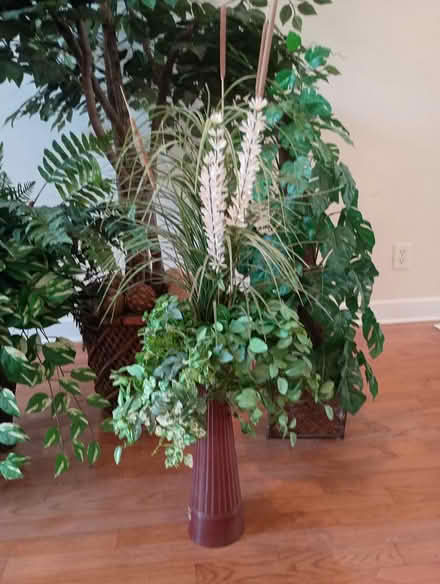 Photo of free Ficus tree and other arrangements (Hixson, TN) #3