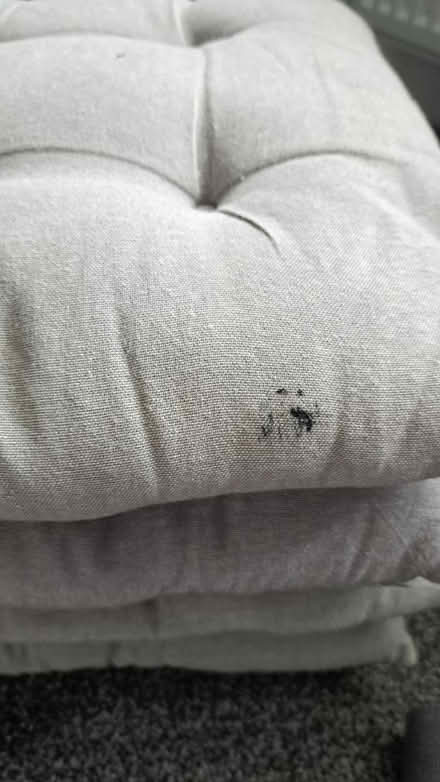 Photo of free Grey placemats, runner & cushions (S41. Chesterfield) #4