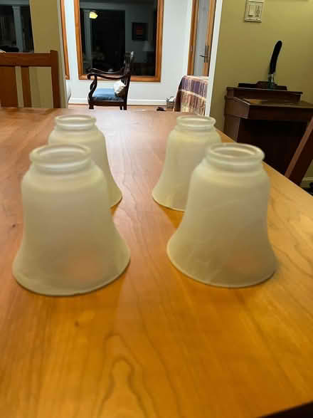 Photo of free four ceiling fan light covers (Rockville) #1
