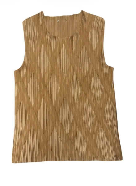 Photo of free Woman’s Gold Top (Brooklyn Storage) #1