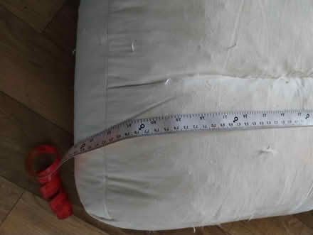 Photo of free Feather cushions (Irby CH61) #3