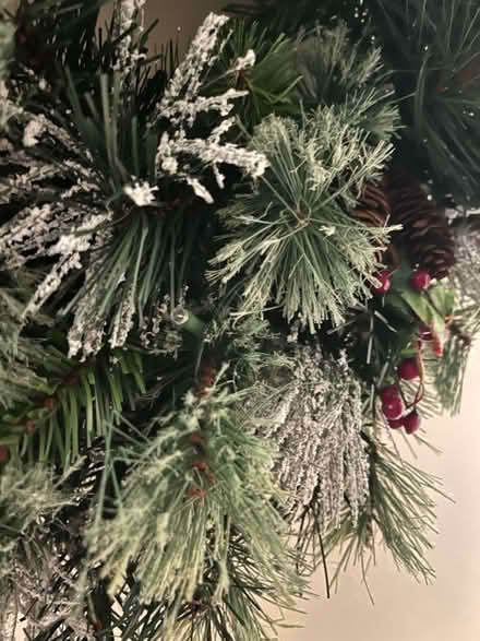 Photo of free Christmas wreath with lights (SE1) #3
