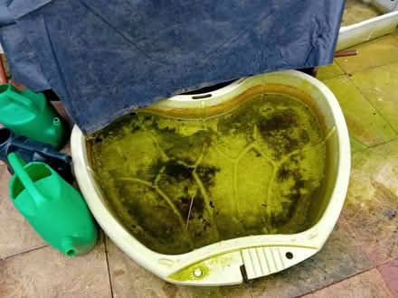 Photo of free Plastic basin (Northampton Abington) #2