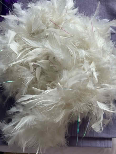 Photo of free Purple flapper outfit (Barkham RG41) #4