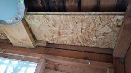 Photo of free Garden shed/ Workshop (PE7 1LF) #4