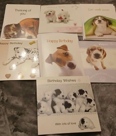 Photo of free Dog greeting cards + envelopes (South Croydon CR2) #1