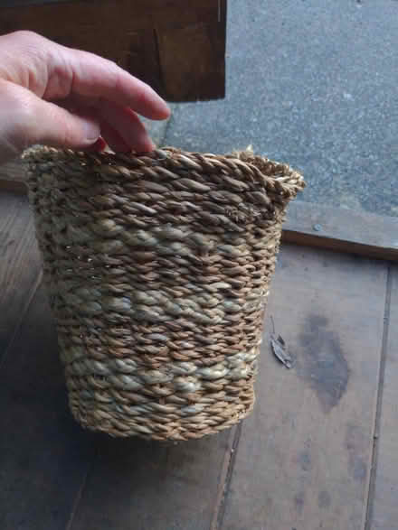 Photo of free Plant pot (Syon Lane TW7) #1