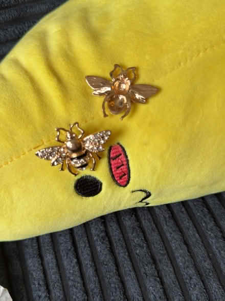 Photo of free Bronze bee Earring pair (USED) (Levenshulme M19) #3