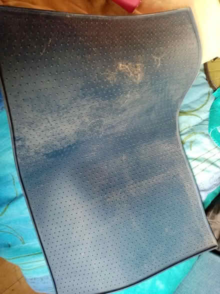 Photo of free Pet feeding mat 24" x 16" (Biggleswade) #1