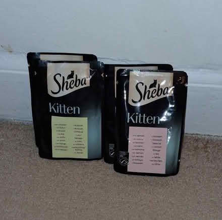 Photo of free Kitten items (LE2) #3