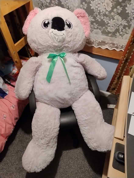 Photo of free 4'6'' ft teddy (Hanwell W7) #1