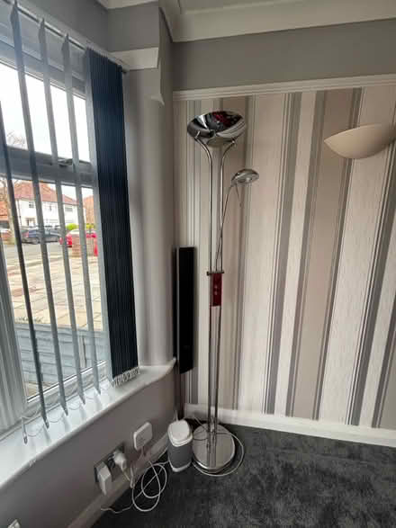 Photo of free Standard lamp mother and child (Churchtown PR9) #2