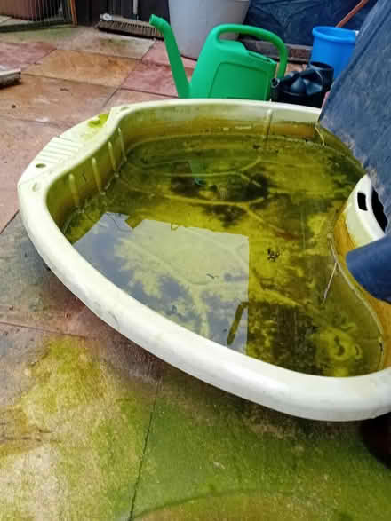 Photo of free Plastic basin (Northampton Abington) #1