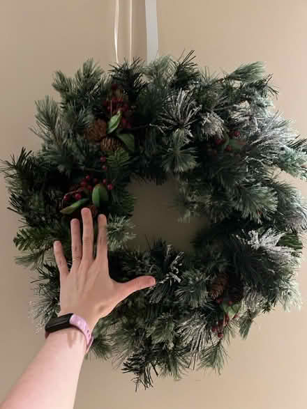 Photo of free Christmas wreath with lights (SE1) #2