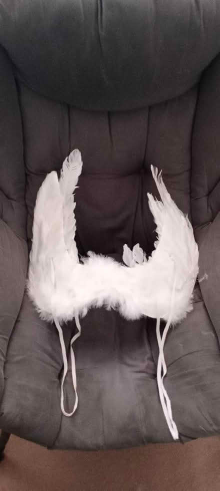 Photo of free Angel Wings - child size (Queensferry CH5) #1
