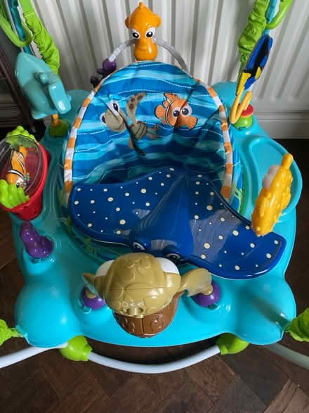 Photo of free Bay jumperoo (Thurnscoe S63) #2