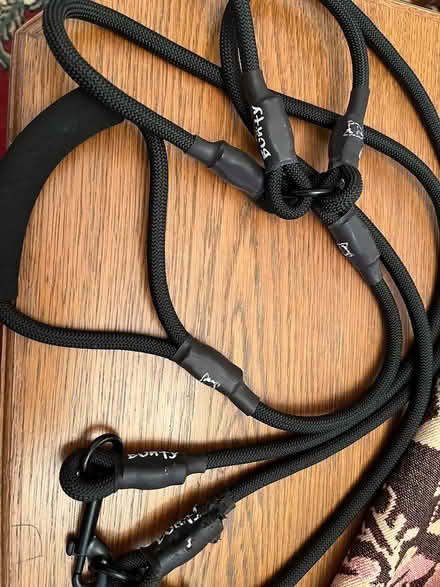 Photo of free triple dog lead (Redruth) #1