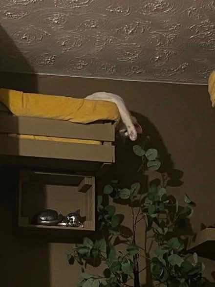 Photo of free Ikea drawers (Whickham NE16) #3