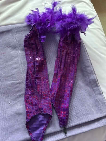 Photo of free Purple flapper outfit (Barkham RG41) #2