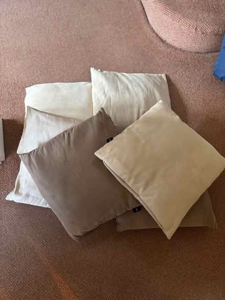 Photo of free Cushions (Long Whatton LE12) #1