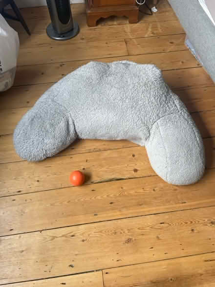 Photo of free Large teddy fleece cushion (West didsbury) #1