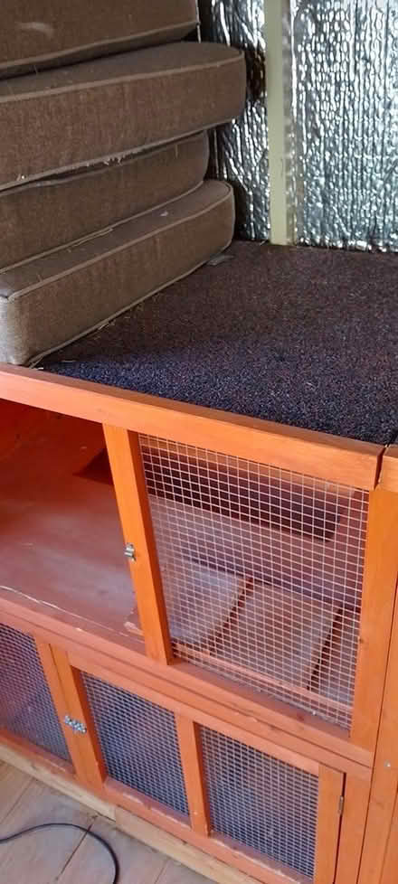 Photo of free 6" Bluebell rabbit hutch (Riverfield drive MK41) #4