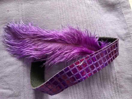 Photo of free Purple flapper outfit (Barkham RG41) #3